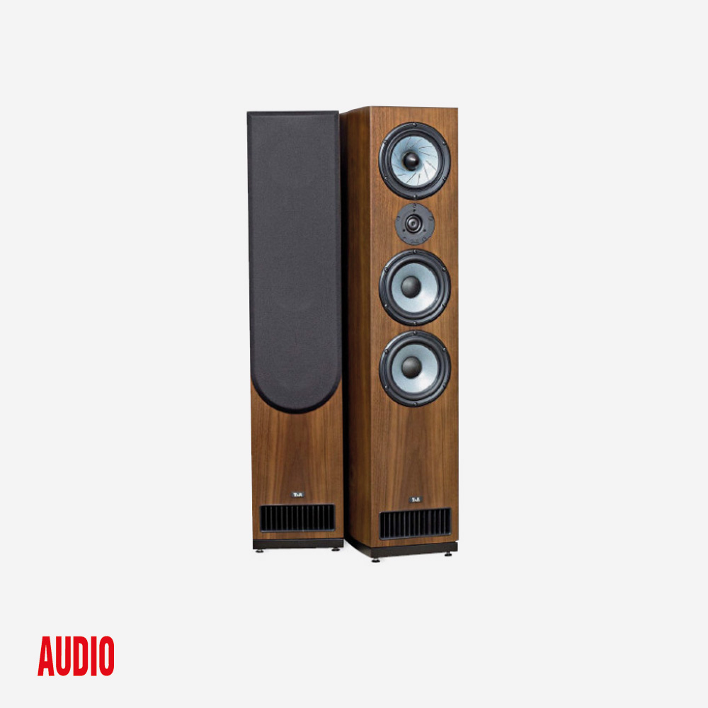 T+A Criterion TS300